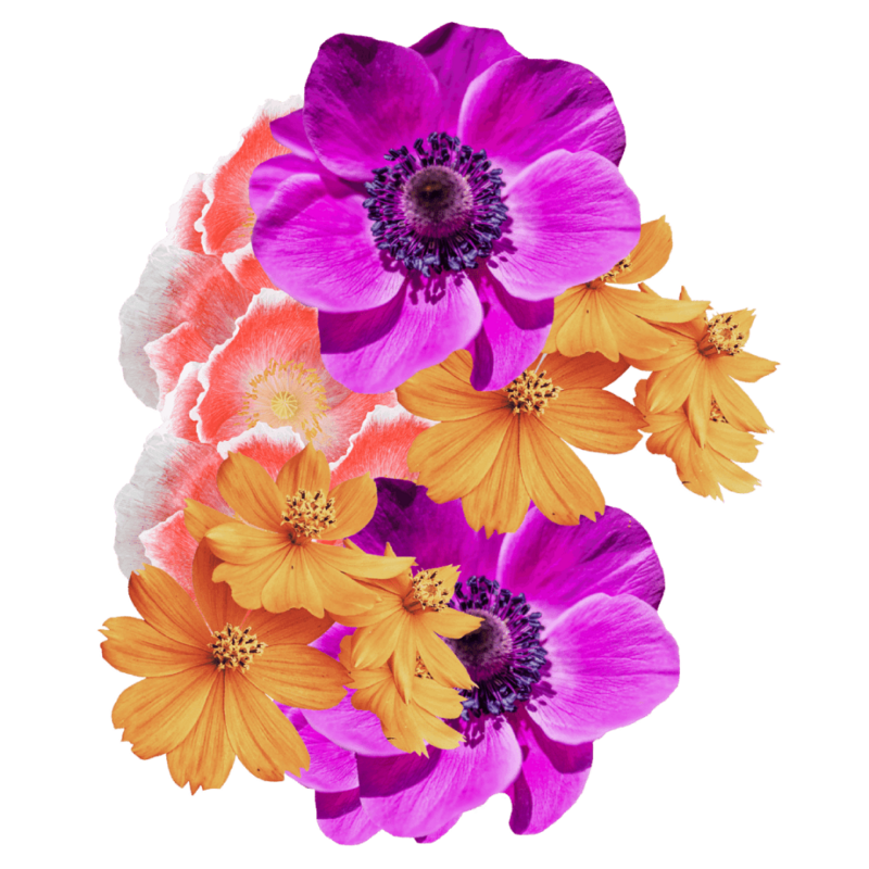 Yellow, purple, and white flowers collaged together