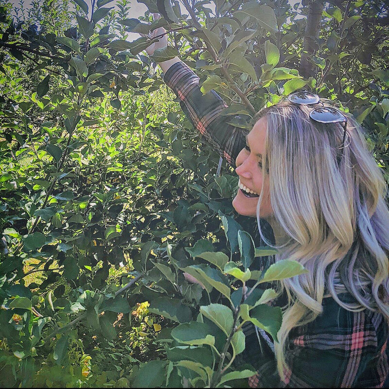 IBS nutritionist, Kerry Conlon, reaching up to pick ripe apples from a tree on a sunny day.