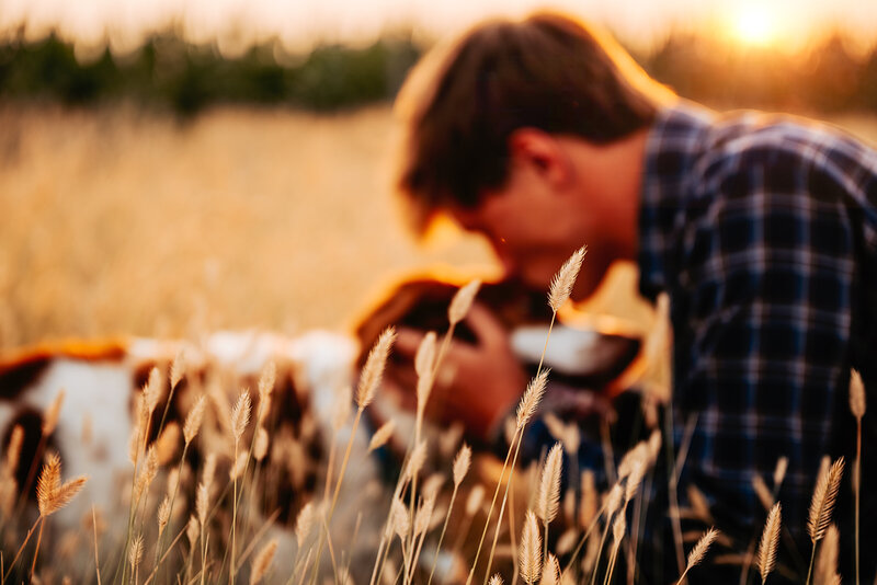 senior boy kisses brittany spaniel dog in crested wheat grass Nebraska field