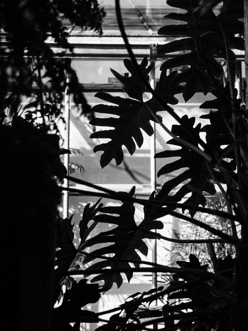 selby-gardens-wedding-julie-sumner-jake-ford-photography-nk-weddings_026
