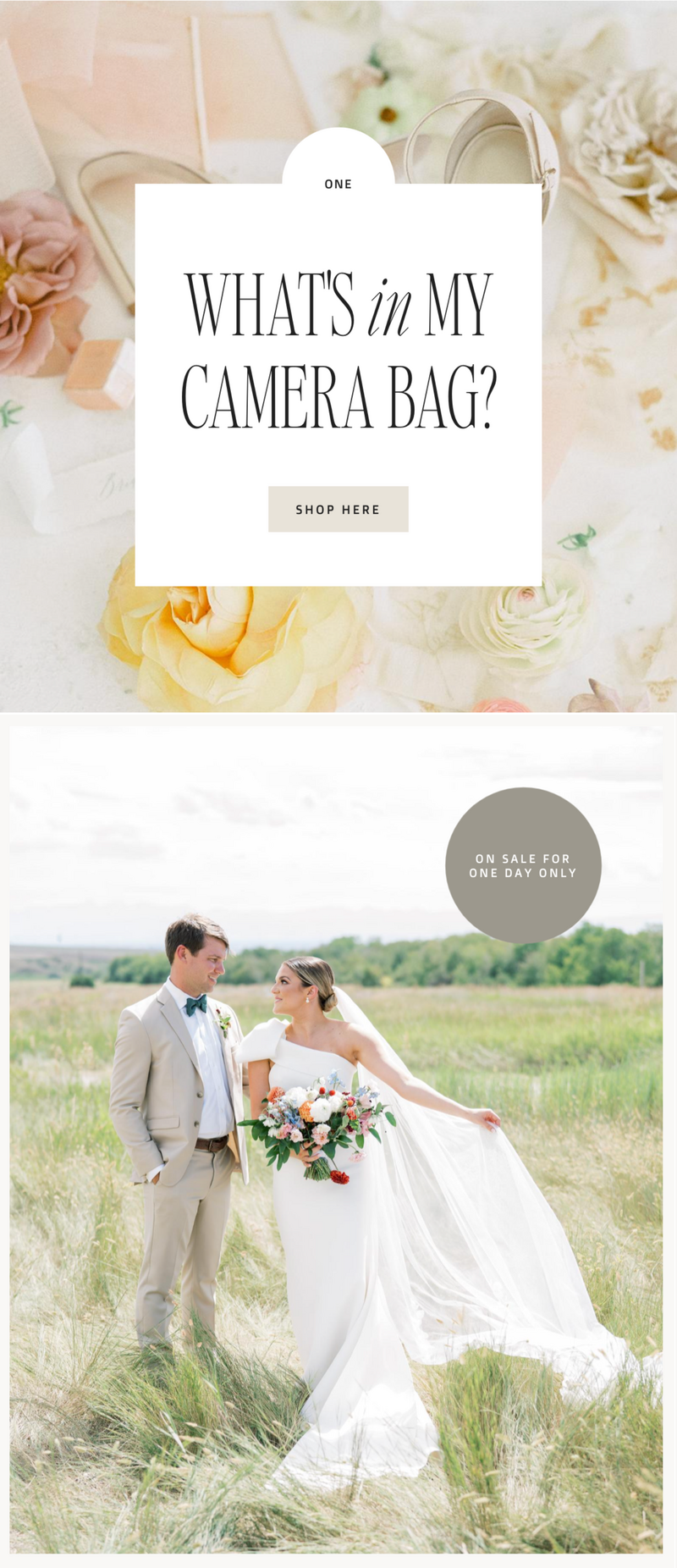 Branded Flodesk email templates for photographers and creatives, including newsletters and opt-in forms to enhance your email marketing strategy.