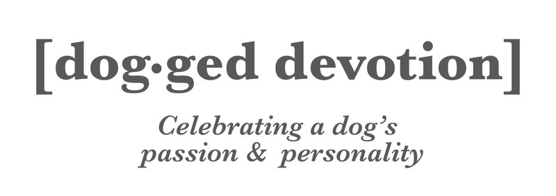 dogged devotions logo with tag line under grey