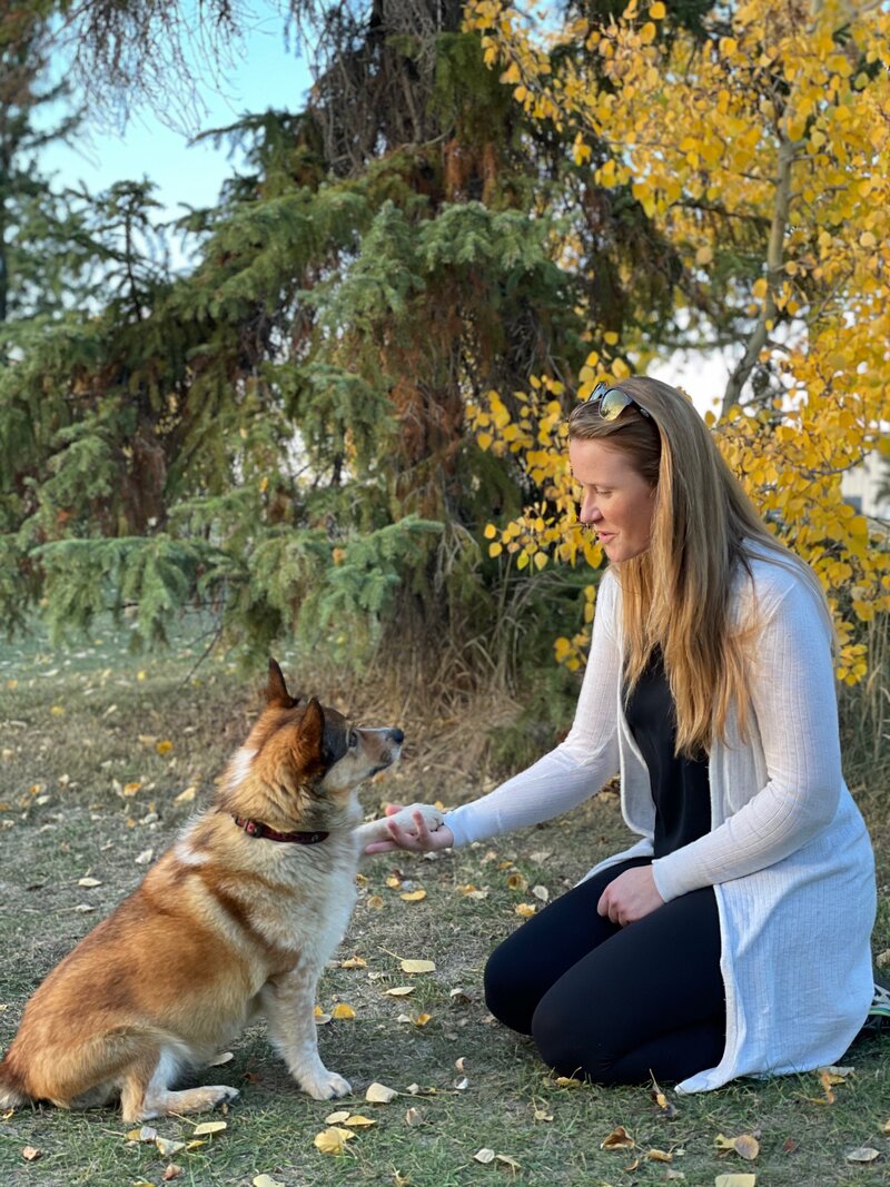Edmonton Dog Training (2)
