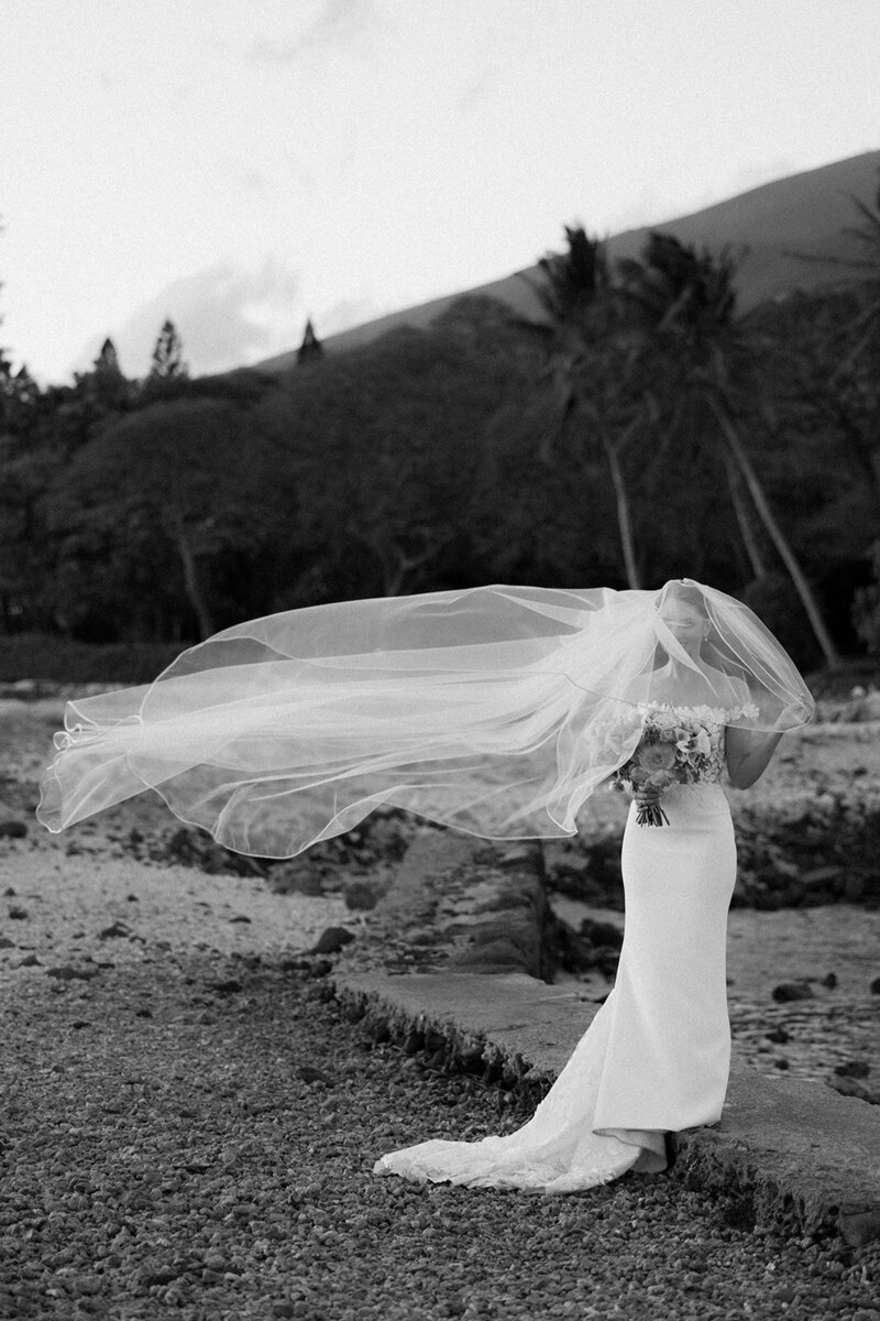bride with long veil and white dress