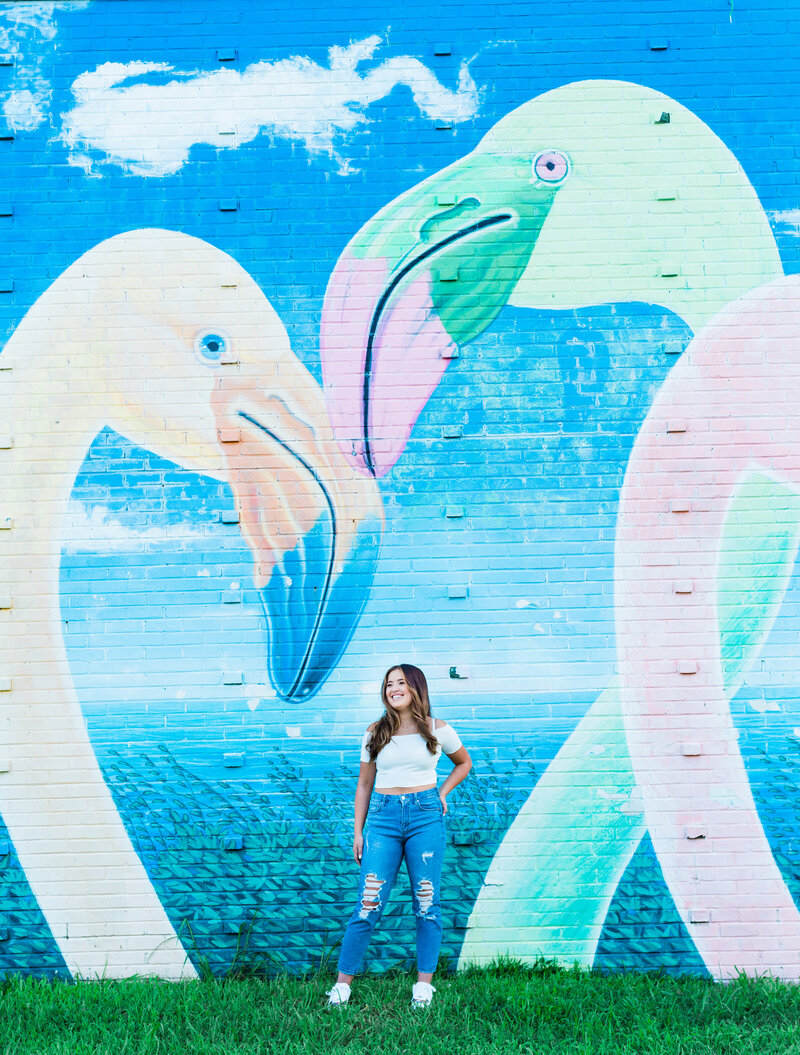 senior photoshoot flamingo murals