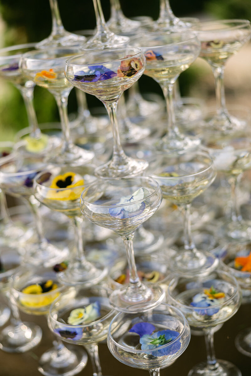 Pippin Hill Wedding-8_websize