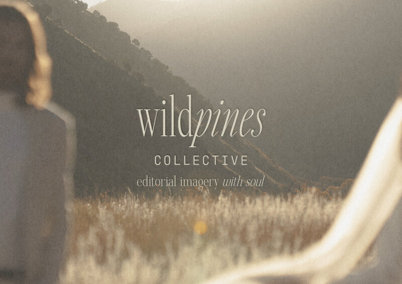 earthy-brand-identity-for-photographer-wild-pines-collective-blog-4