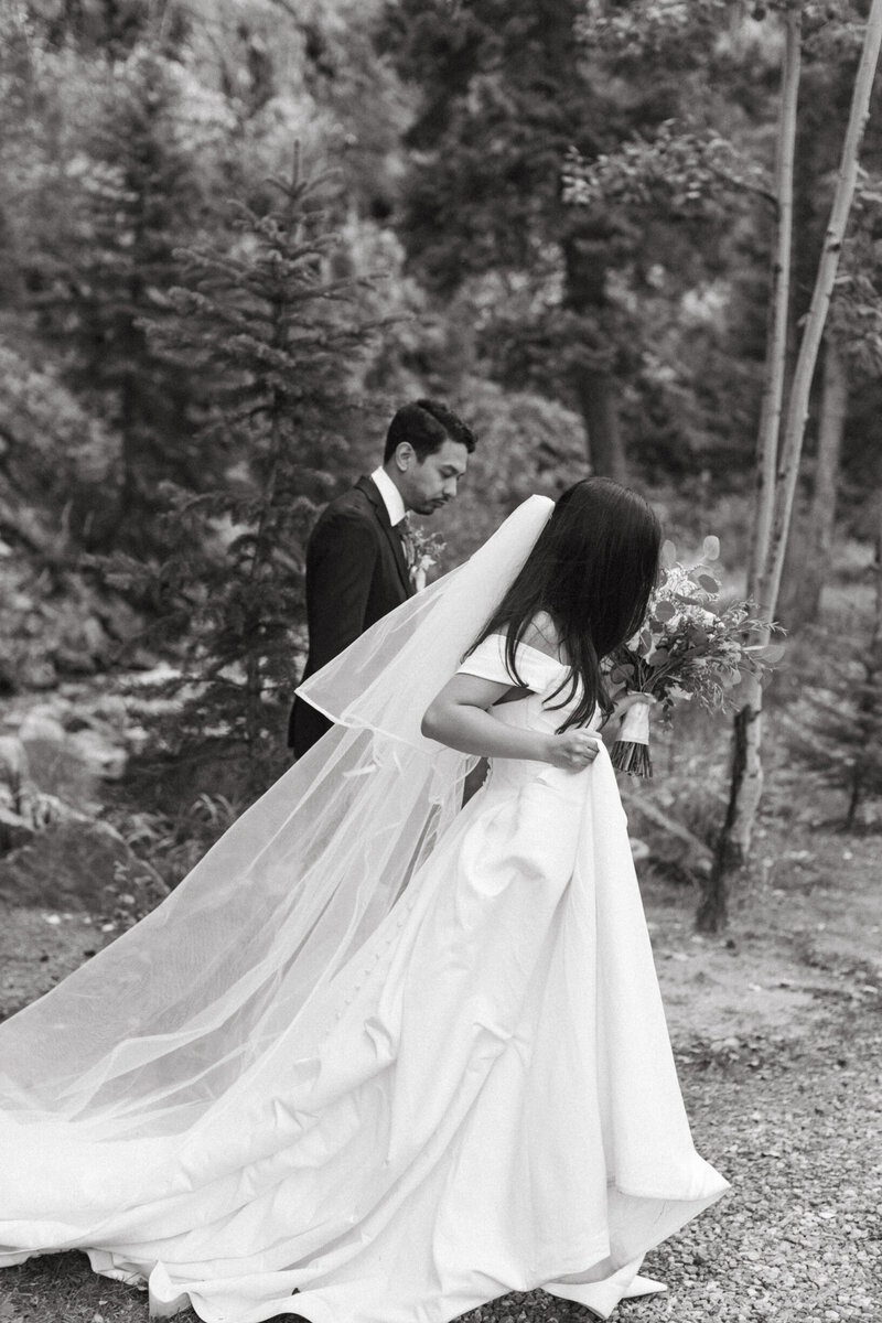 AhnaMariaPhotography_Wedding_Colorado_Daphne&Cy-121