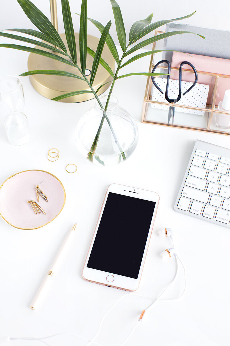 social-squares-blush-palms-desktop-styled-stock031