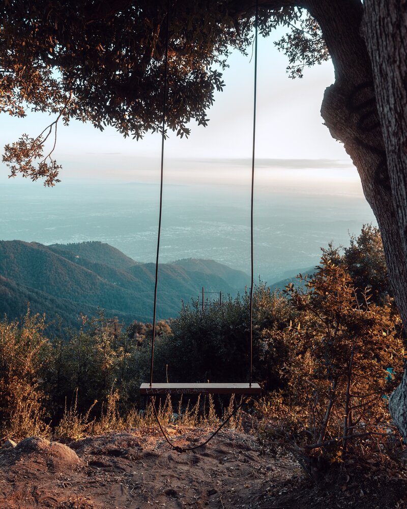 Wood swing hanging from a tree looking over the mountains