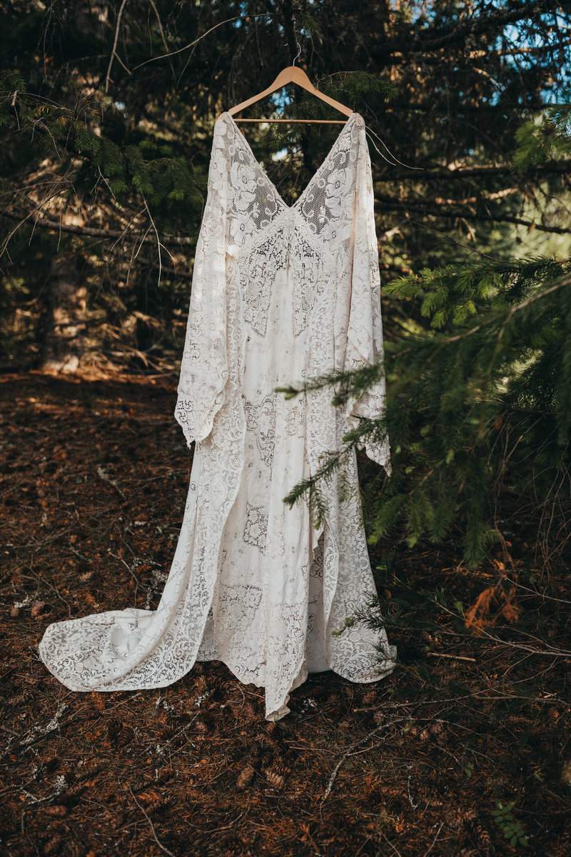 bridal gown hanging from trees in the mountains