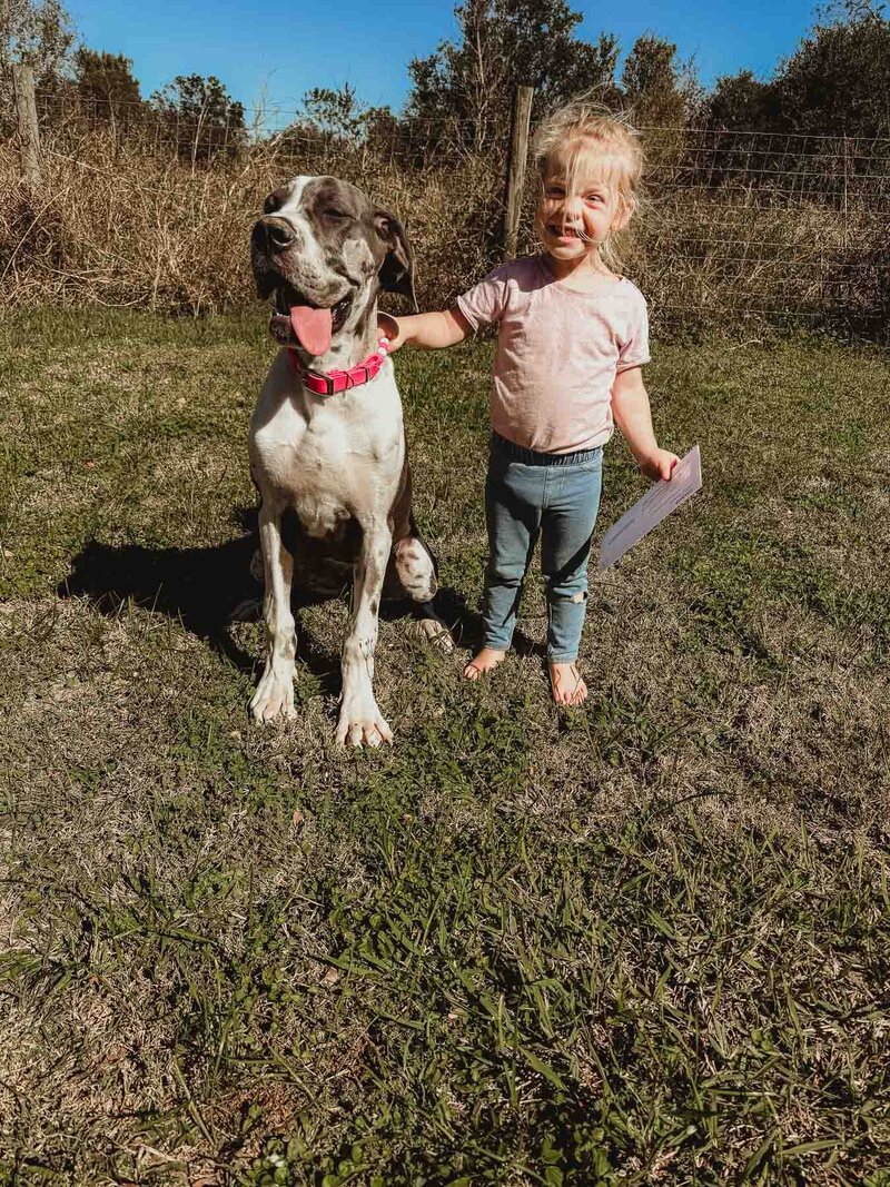 Client Photo with Frenchie