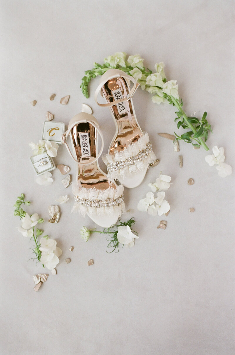 wedding shoes and rings for luxury wedding