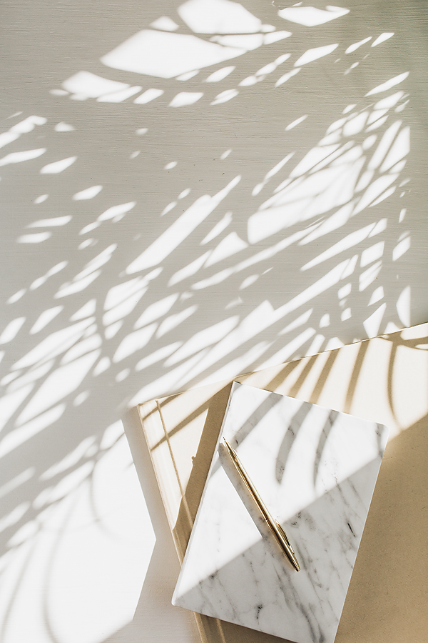 Palm frond shadows on warm white wall