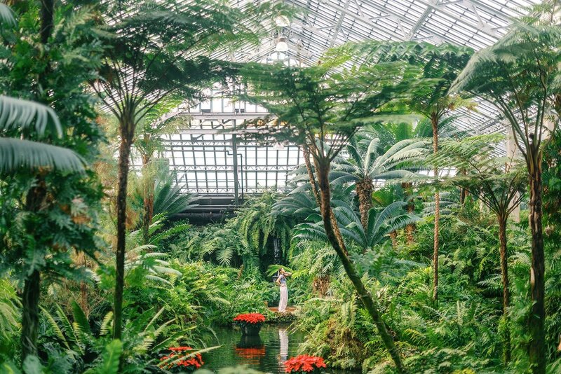 nm-07-garfield-park-conservatory-photos