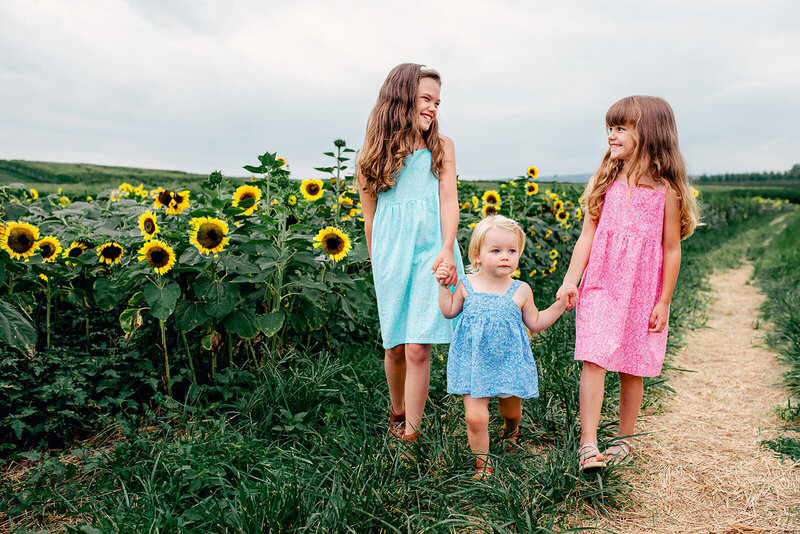 Three small girls holding hands and walking along a row of sunflowers.
