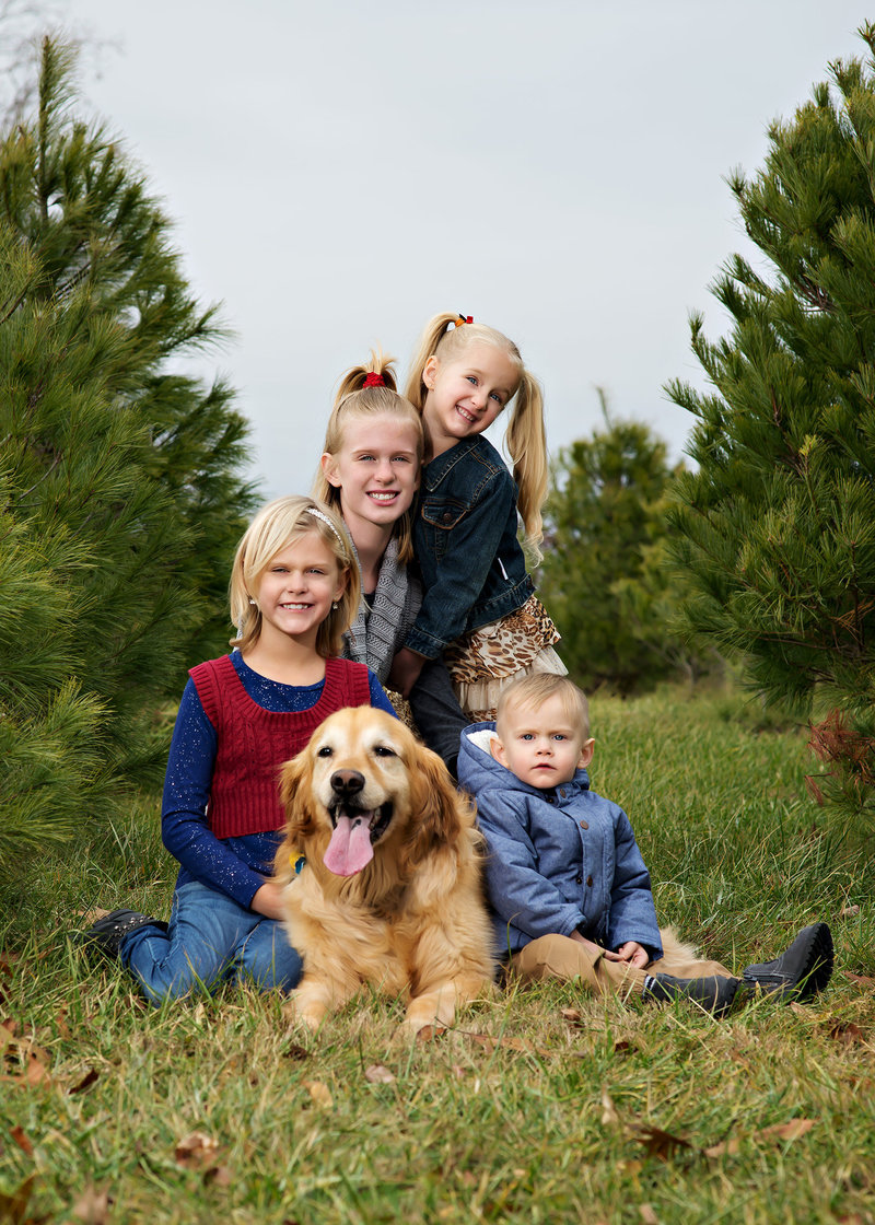 family pictures with their dog at the tree farm in lansing michigan