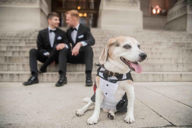 Two grooms sit by each other in Austin, TX, with a dog in the foreground