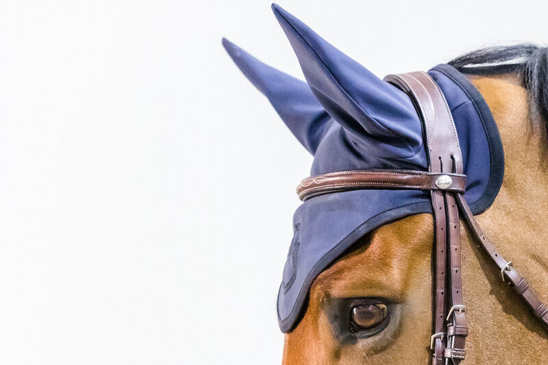 Horse Ears Blue Bonnet