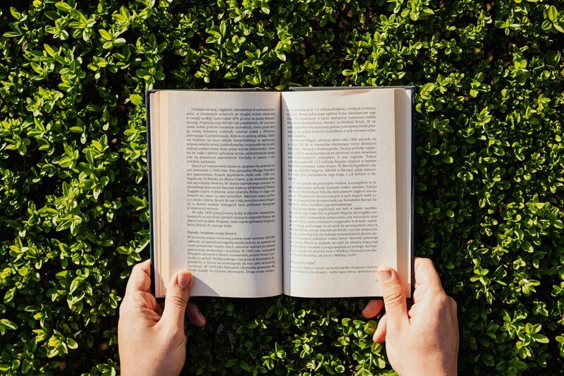 Hands holding an open book above green leafy ground cover, with sunlight casting soft shadows on the pages.