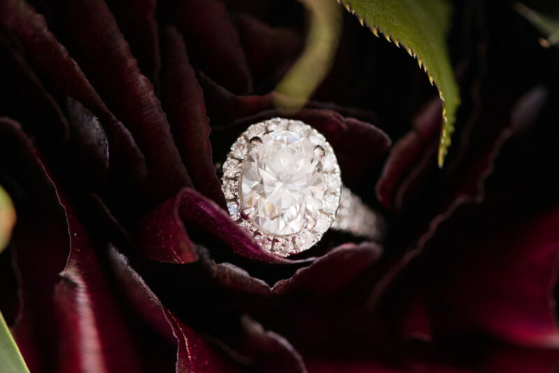 An exquisite close-up of a diamond engagement ring nestled among dark red rose petals