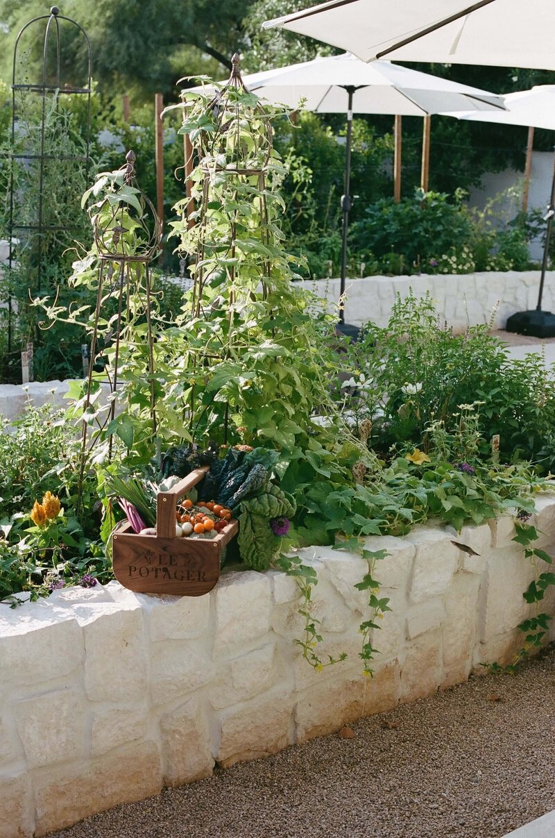 French-Garden-Hacienda