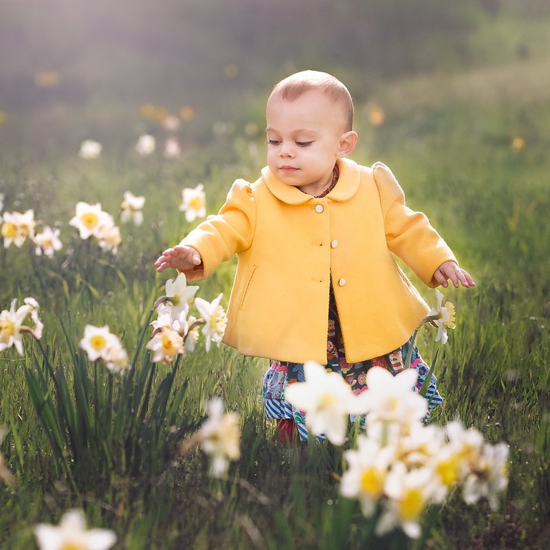 east-bay-photographer-toddler-Daffodils-5F0A8977
