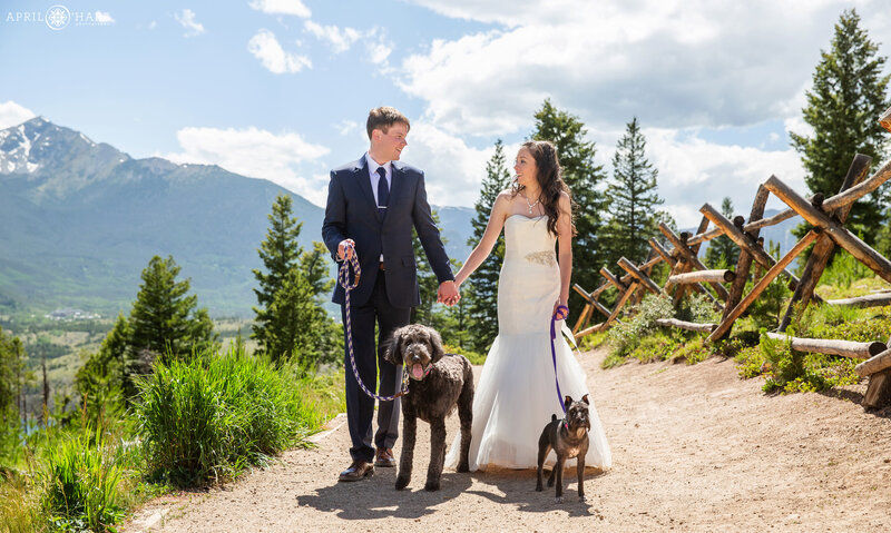 Wedding couple holds hands as they walk on the Sapphire Point Path with their dogs on their wedding day in Colorado