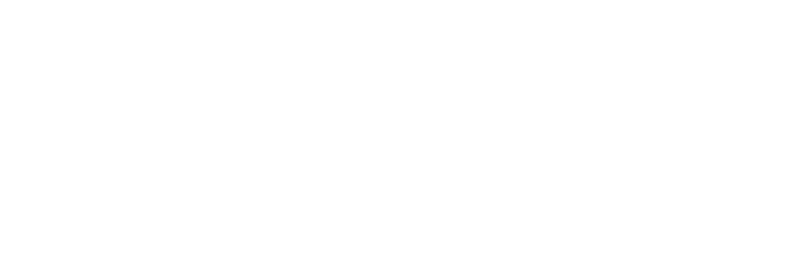 Wild Aisle Logo