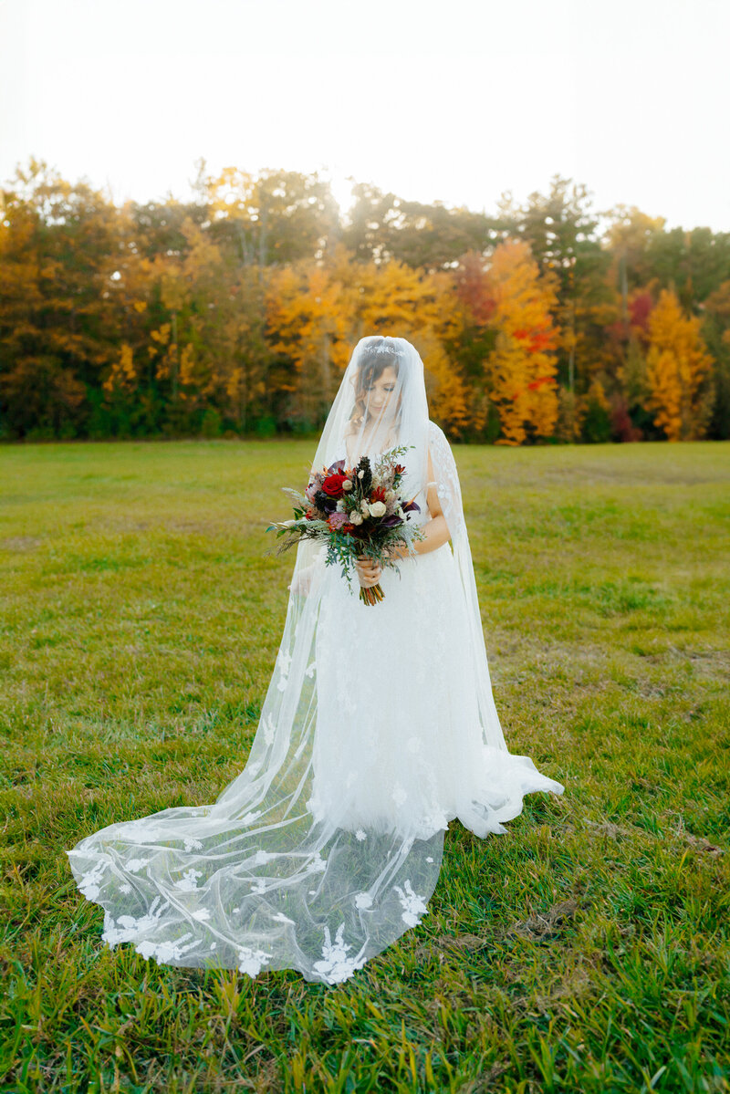 bride with embroidered veil at new hampshire wedding