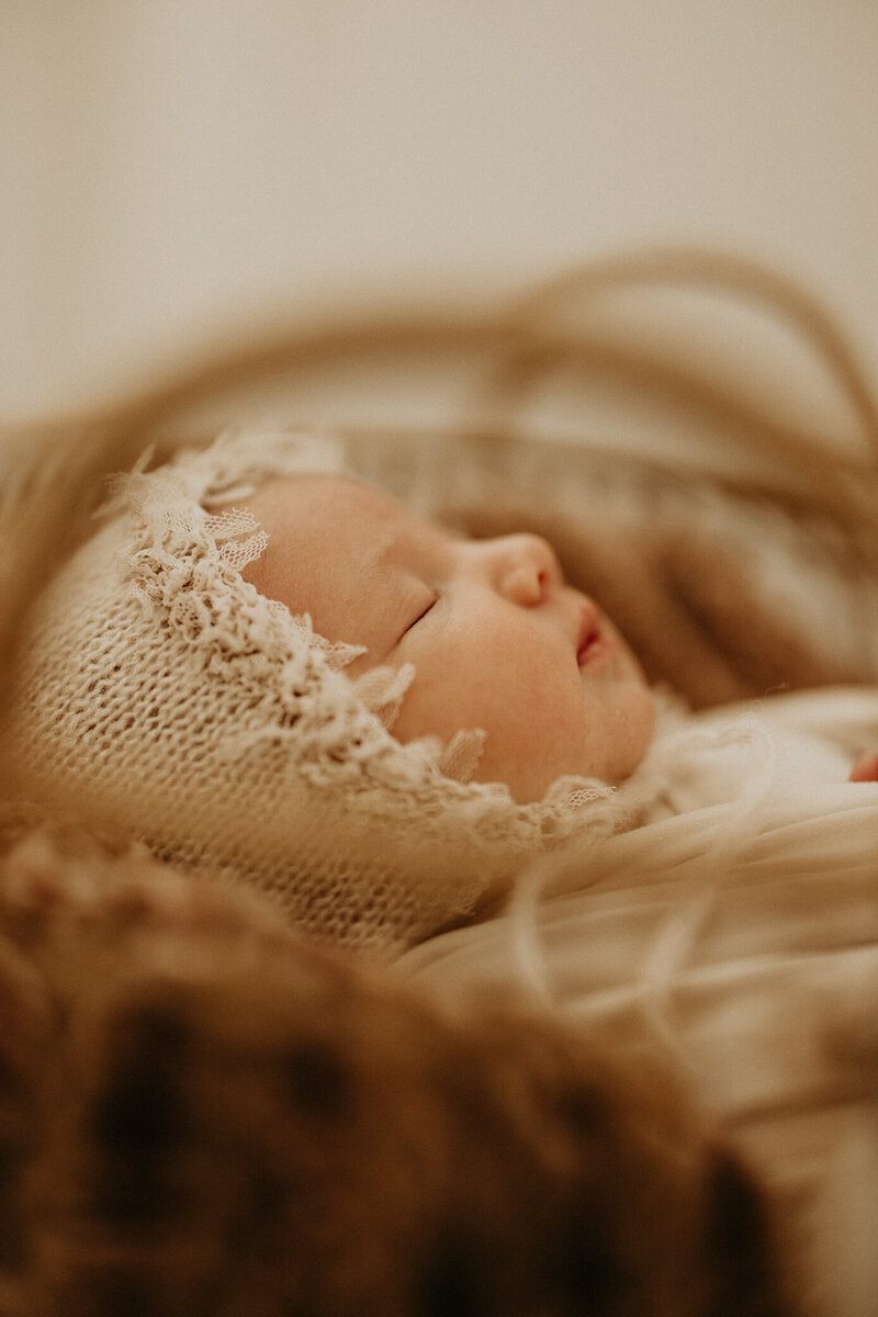 studio newborn photography in Rochester MN Minnesota lifestlyle newborn photopgraher in rochester mn minnesota with shyloh