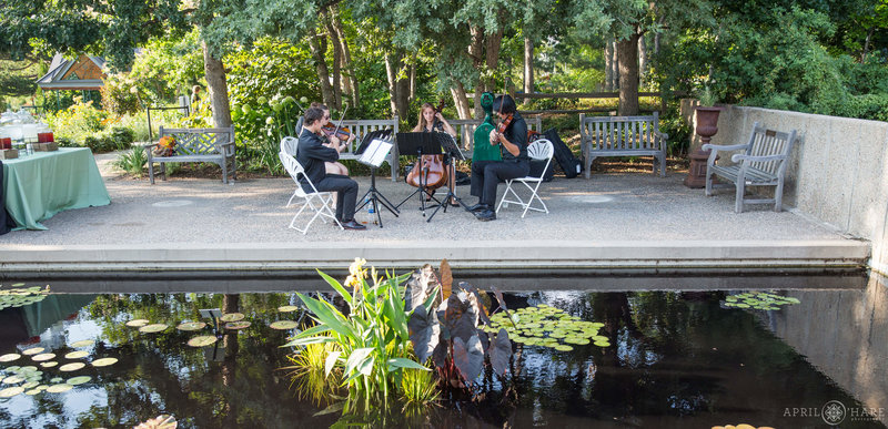Nexus Strings play next to pretty water garden at Denver Botanic Gardens