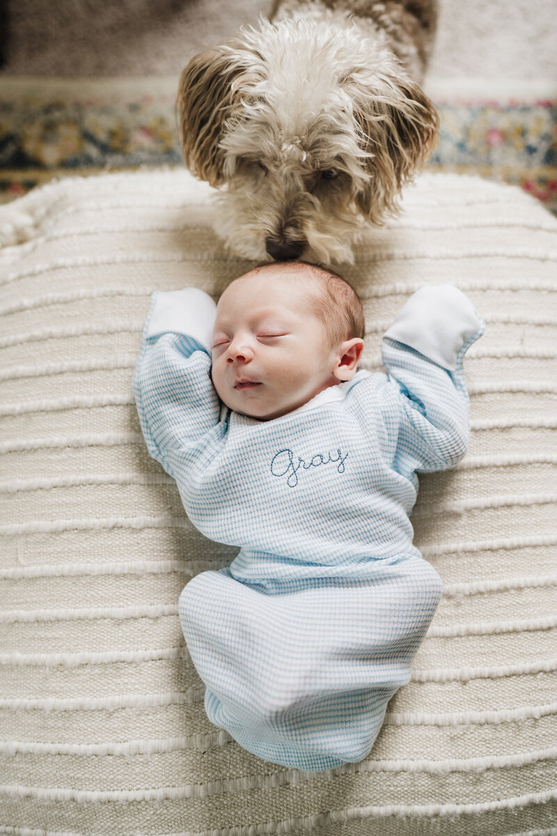 Portrait of newborn and pup in-home family session in Chattanooga, TN