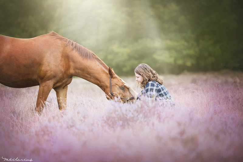 Sprookjesachtige foto meisje met paard