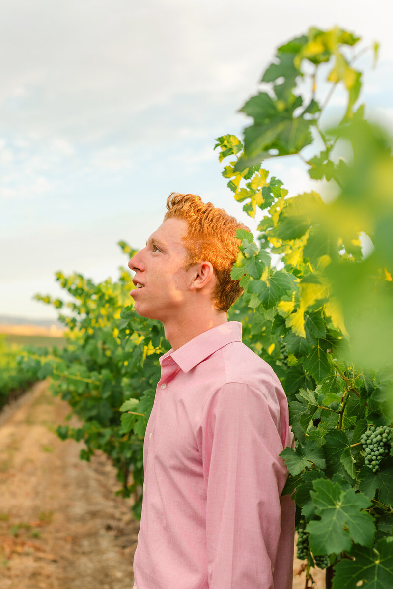 Redheaded high school senior male in a Livermore vineyard