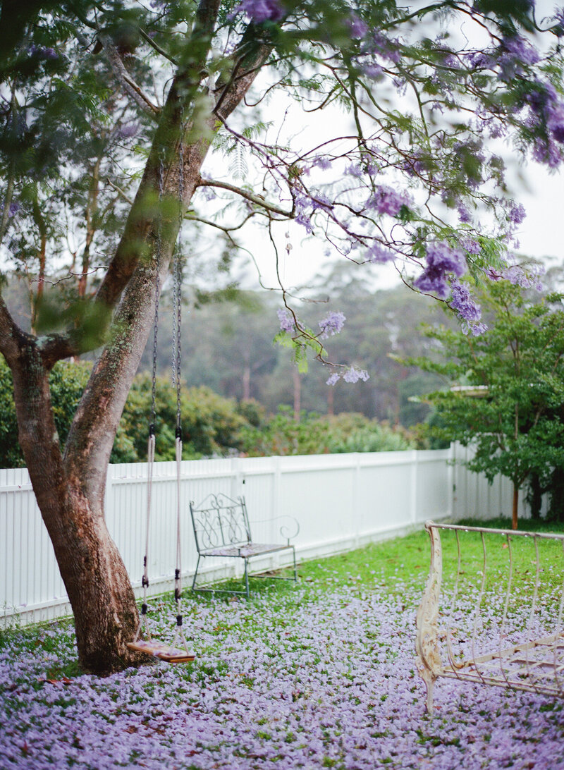 summerhope jacaranda