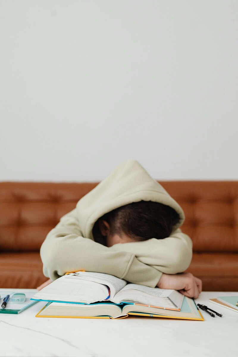 Student sitting at their desk with their hood on their head and the face in their book