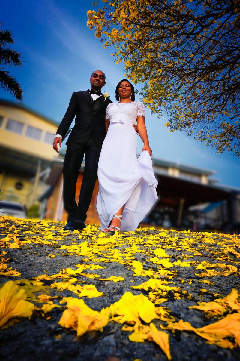 Bride and Groom walk through poui towards camera.. Photo by Ross Photography, Trinidad, W.I..