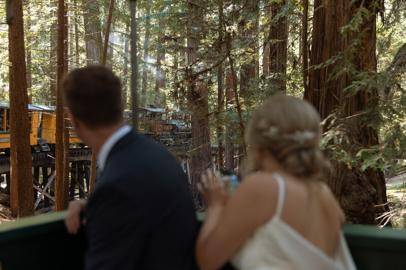 Henry-Cowell-Redwood-Forest-San-Jose-California-Rachel-Marie-Photography-9