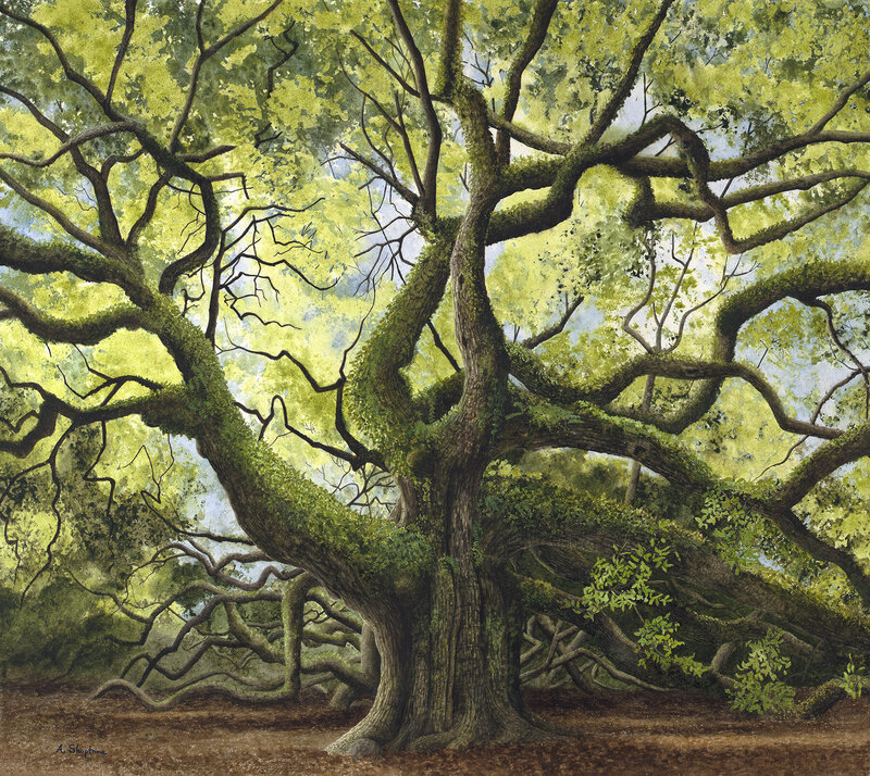 Angel Tree by Alan Shuptrine, talented Chattanooga Watercolor Artist