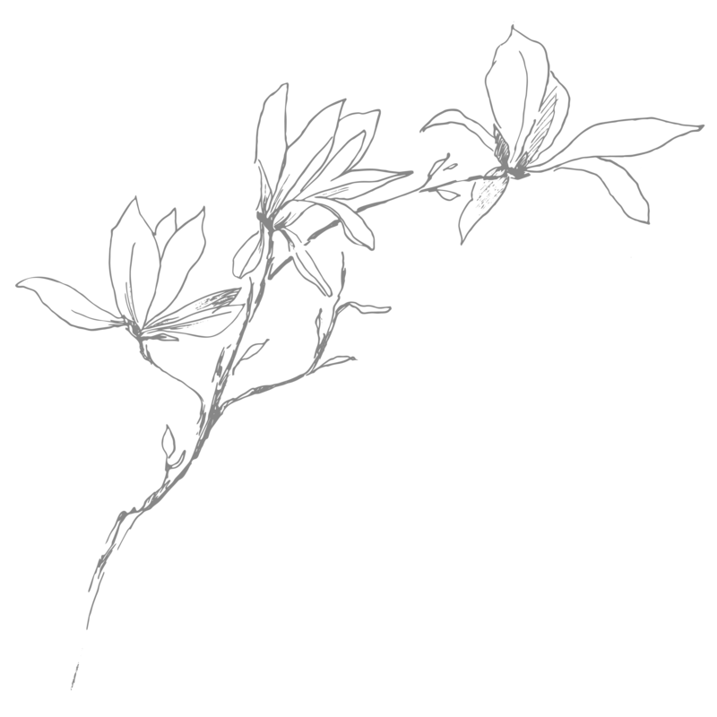 magnoliagray (2)