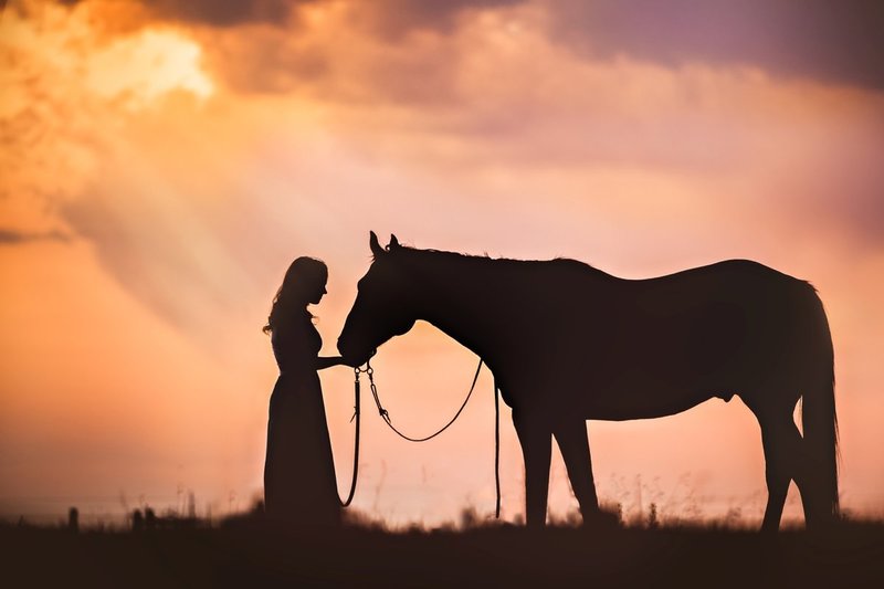 A silhouette  of a girl and her horse at sunset in Cheyenne.