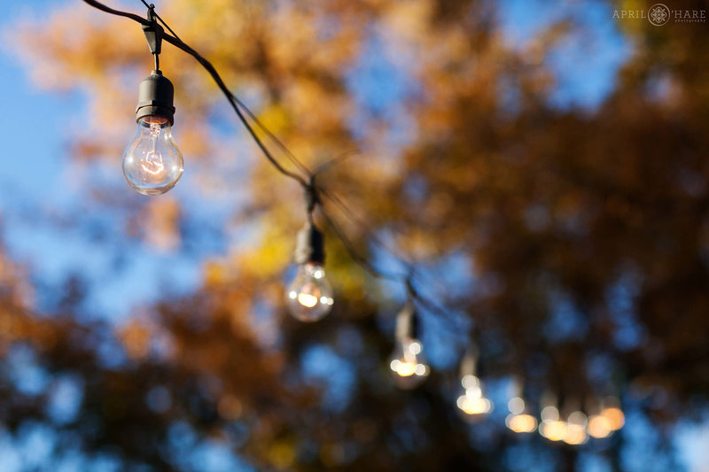 String lights hang on the patio at a fall wedding at Chatfield Farms in Denver Botanic Gardens