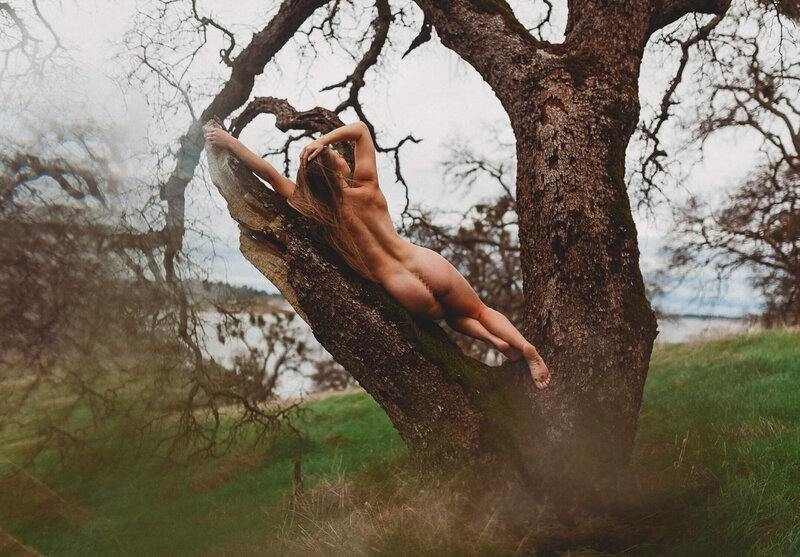 Woman nude in tree during outdoor boudoir session
