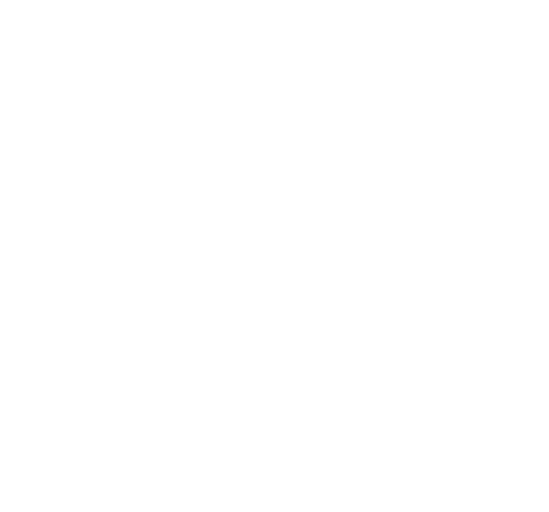what susan sees logo