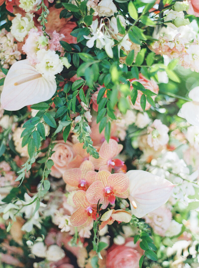 58-AA-FINAL-FILM-01