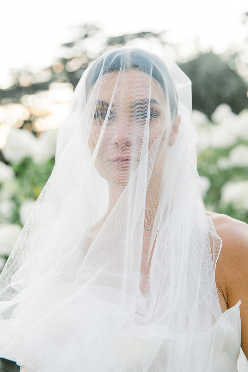 Wim Vanhengel-1-445_websize