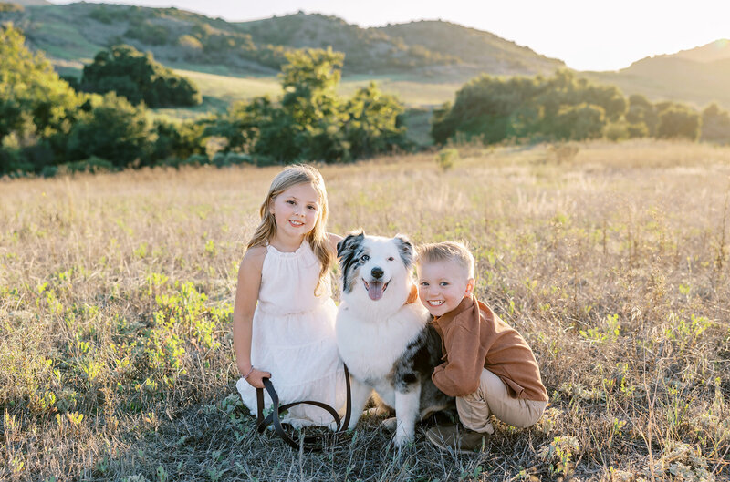 Two children pose with their dog in a pretty golden field during  a child photography session