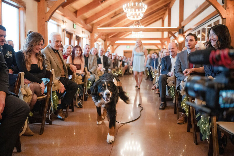 Dog walks down the aisle during a wedding ceremony surrounded by guests inside the rustic barn at Barnwood Events in Madison, Wisconsin.