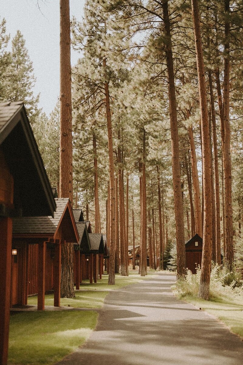 five-pines-sisters-bend-oregon-elopement-curated-mess-co-1